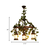 Lámpara de araña industrial de madera con luz de techo LED para plantas - Diseño de linterna verde - 3/6/8 cabezas - Ideal para restaurantes - 21.5"/27"/30"W
